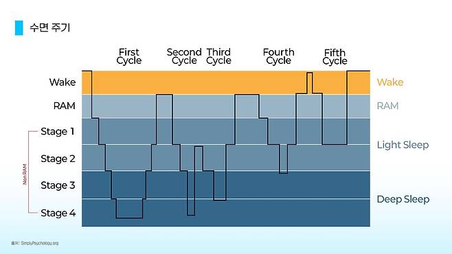 정상적인 수면 주기는 하룻밤 약 90분 단위의 사이클이 4~6회 반복된다. 나이가 들수록 깊은 잠의 단계가 줄어들고 자주 깨게 된다. 그래픽 박지은·이민서
