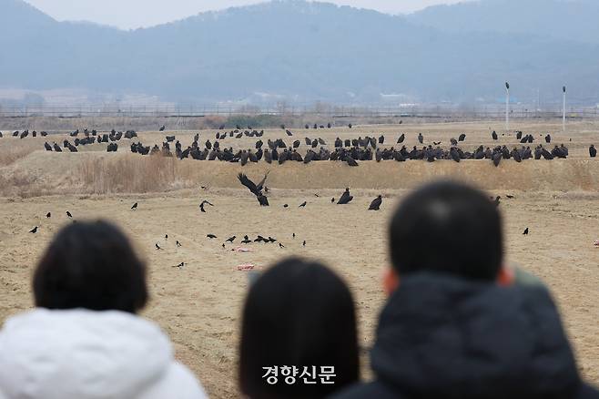 시민들이 지난달 10일 독수리가 먹는 것을 보기 위해 대기하고 있다. 200마리가 넘는 독수리들이 끼니 때마다 독수리 식당을 찾지만 경계심이 강한 습성 때문에 사흘까지도 먹이를 먹지 않고 편안한 식사 시간을 기다린다.