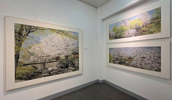 [사진=박현주 미술전문기자]청작화랑에서 오용길 30호 개인전이 18일까지 열린다.   *재판매 및 DB 금지