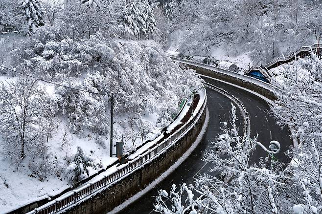 태백지역 폭설 [태백시 제공.재판매 및 DB 금지]