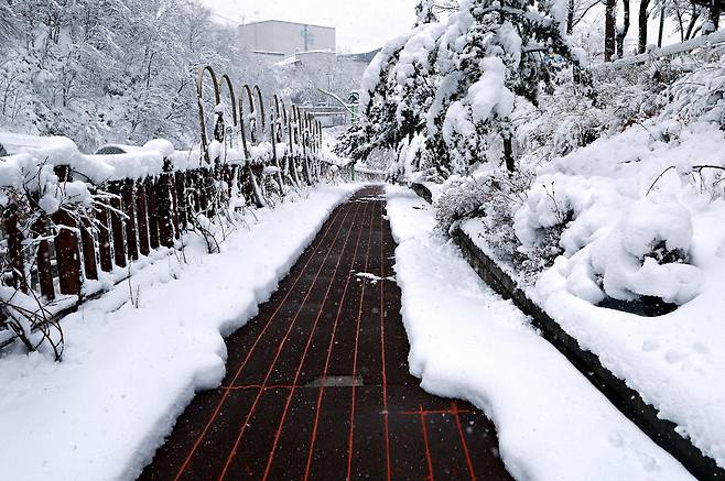 태백시 열선설치 지역 [태백시 제공.재판매 및 DB 금지]