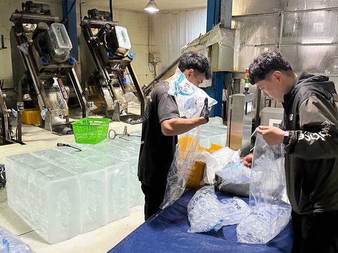2일 오후 2시쯤 대구 서구의 한 얼음공장에서 작업자들이 각얼음을 비닐에 담고있다.