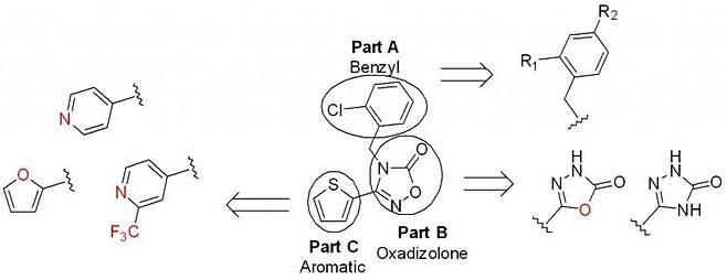새로운 드라베 증후군 후보물질의 설계도. 기존 약물보다 효능이 뛰어난 새로운 화학 골격(1,3,4-옥사디아졸론) 후보물질을 개발했다. 적은 양으로도 강하게 작용하고 특정 단백질에 선택적으로 작용하며, 저비용 재료로 4단계 합성만으로 제작 가능하다. 연구팀 제공.