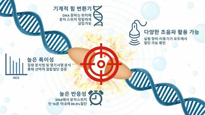 DNA 기반 초음파 메카노포어 플랫폼의 구조와 작동 원리.