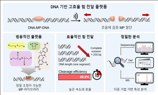 DNA 기반 고효율 힘 전달 플랫폼 개념도. (곽민석 교수)
