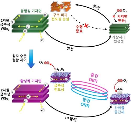 2차원 금속성 WSe2 소재의 기저면 활성화 및 촉매 반응 메커니즘
