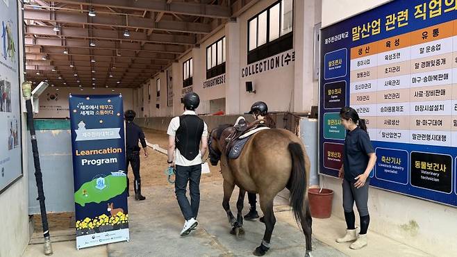 제주RISE 대표 사업인 '글로벌 K-교육·연구 런케이션 플랫폼' 참가자가 제주한라대에서 승마를 하면서 배움과 여행을 동시에 진행하고 있다. 제주특별자치도가 지역혁신중심 대학지원체계(RISE) 사업을 전면 재편하고 '5극3특' 인재양성 체계 구축에 나선다. /사진=제주특별자치도 제공