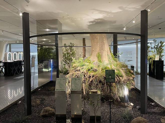 업타운 공간의 중심에 위치한 비더비의 상징 미(美)의 나무 / 출처=IT동아