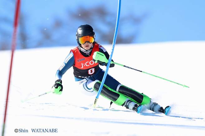 서울특별시체육회 제공