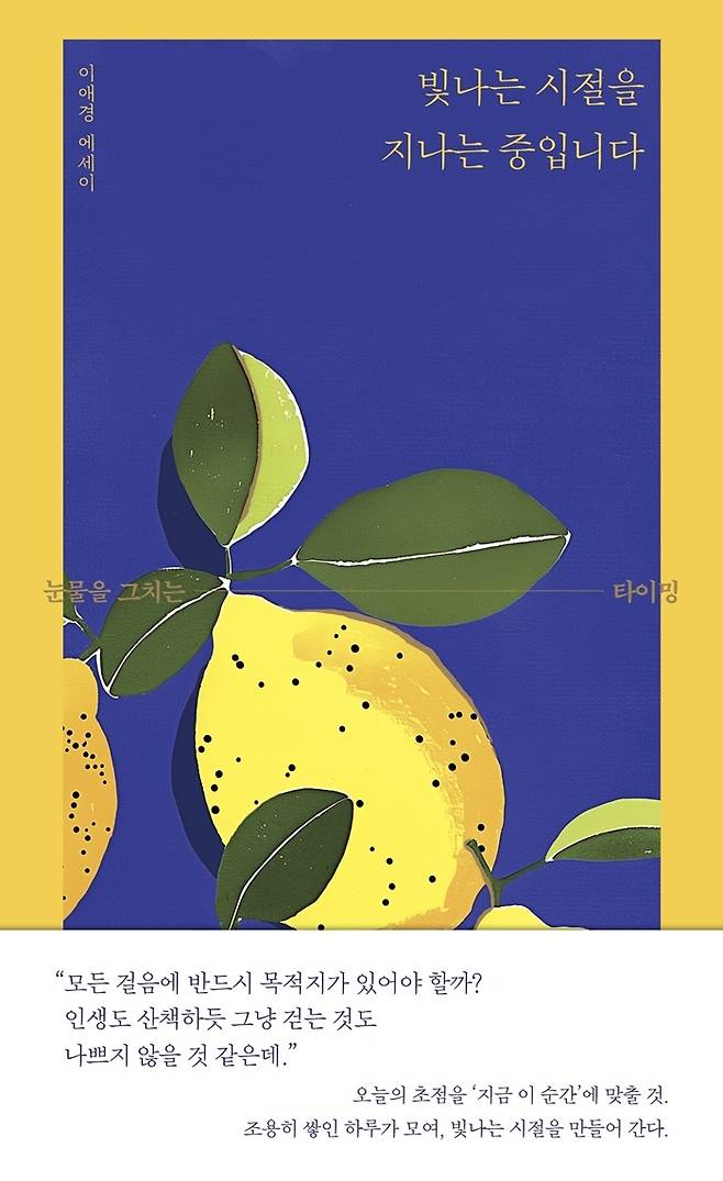 이애경 작가의 신간 ‘빛나는 시절을 지나는 중입니다’