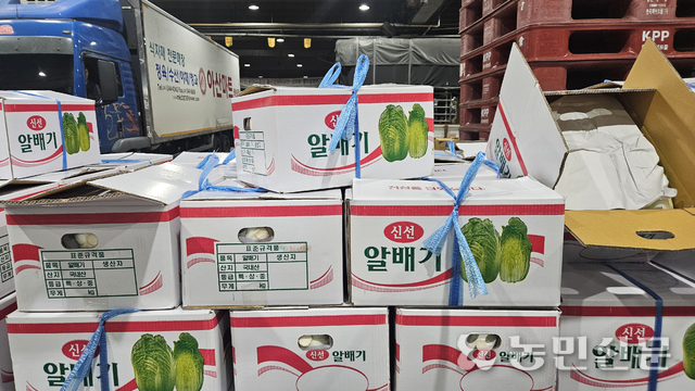 서울 가락시장에 국산 알배기배추가 쌓여 있다. 알배기배추는 보통 8㎏들이 상자포장품으로 출하된다.