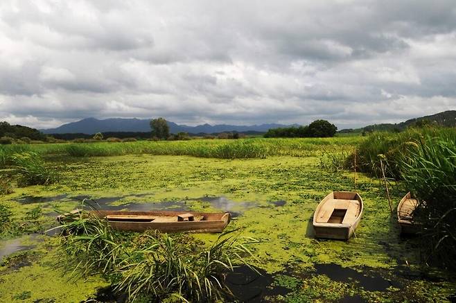 창녕군 대표 관광지 우포늪 전경 ⓒ창녕군 제공