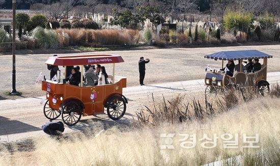 ▲ 울산시 중구 태화강 국가정원에서 전기 동력 이동 수단인 '울산 마차'가 시범운영되고 있다. 경상일보 자료사진
