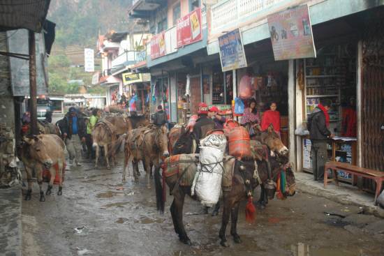 산악지대 사람들이 생활용품을 구할 수 있는 시장까지는 대부분 몇 시간을 내려와야 한답니다. 생산한 채소나 잡곡, 유제품을 가져와 물물 교환한다지요. 험하고 좁은 산길에 적응한 말이나 노새가 주된 운송 수단이랍니다.
