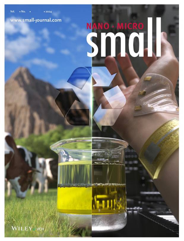 Small 표지. 국립금오공대 제공