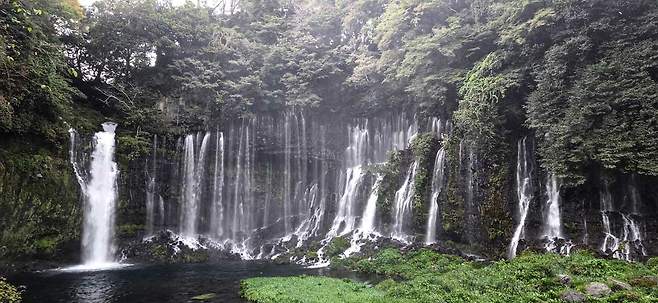 후지산 설원에서 흘러내린 물이 만들어낸 시즈오카 시라이토 폭포. 폭 200m에 달하는 절벽에서 수십 줄기 물이 쏟아진다. 출처: 비타투어 제공