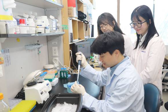 생명연 연구팀이 약물로 인한 위장관 독성을 보다 정확하게 예측할 수 있는 평가 플랫폼을 구축했다. [사진=생명연]