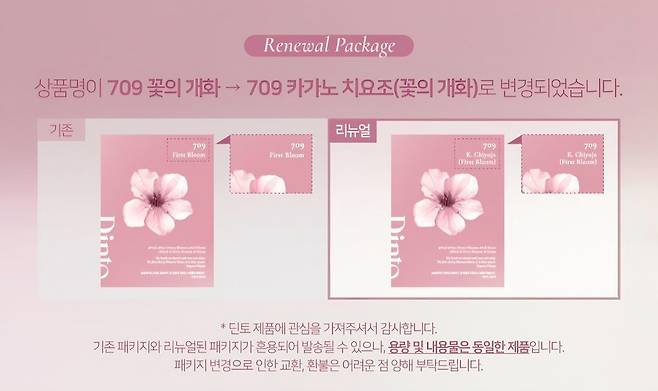 (출처='딘토' 홈페이지 캡처)