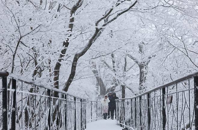 강원도 지방에  폭설이 내린 2026년 3월 2일 강원특별자치도 평창군 발왕산 기 스카이워크 인근 숲 길이 새하얀 눈으로 뒤덮여 있다. /장경식 기자