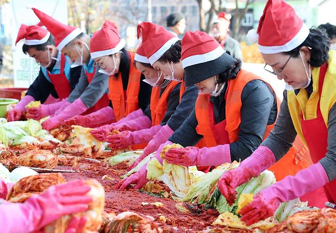 대전 동구청에서 열린 천사의손길 김장나눔대축제에서 봉사자들이 김장을 하고 있다./ 뉴스1
