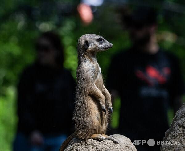 사진은 칼럼 내용과 관련 없습니다. 사진제공=ⓒAFPBBNews = News1 (사진을 무단으로 사용하지 마십시오)