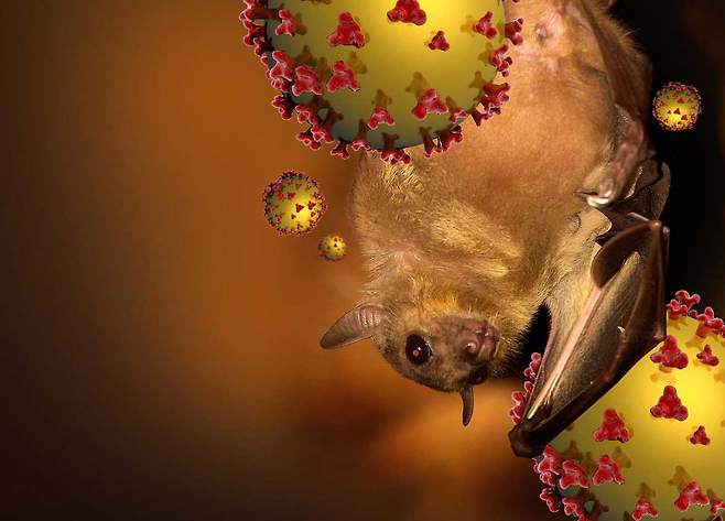 사진=클립아트코리아