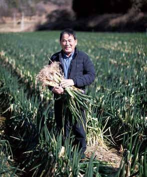진도군 지산면 관마리에서 40년 넘게 대파를 재배하고 있는 김영화 씨.
