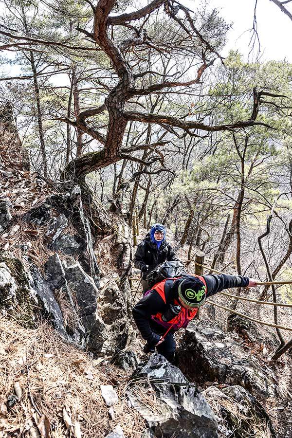 태화산은 전체적으로 육산이지만 약간의 바위지대도 통과해야 한다.&nbsp;