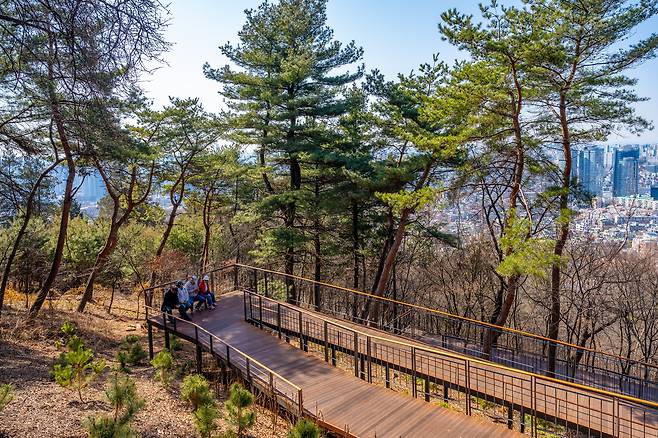 데크를 놓아 무장애길로 조성된 남산하늘숲길(서울관광재단 제공)