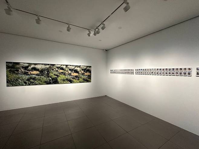 서울 사간동 현대화랑에서 열린 송영숙 한미약품 그룹 회장의 개인전 ‘Meditation on the Road 길 위에서’ ⓒ데일리안 이소영 기자