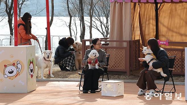 4일 서울 마포구 반려동물 캠핑장에서 시민들이 반려견들과 함께 봄을 즐기고 있다. 이곳은 반려견의 크기에 따라 공간이 분리돼 있어 목줄 없이 반려견과 시간을 보낼 수 있다. 변영욱 기자 cut@donga.com