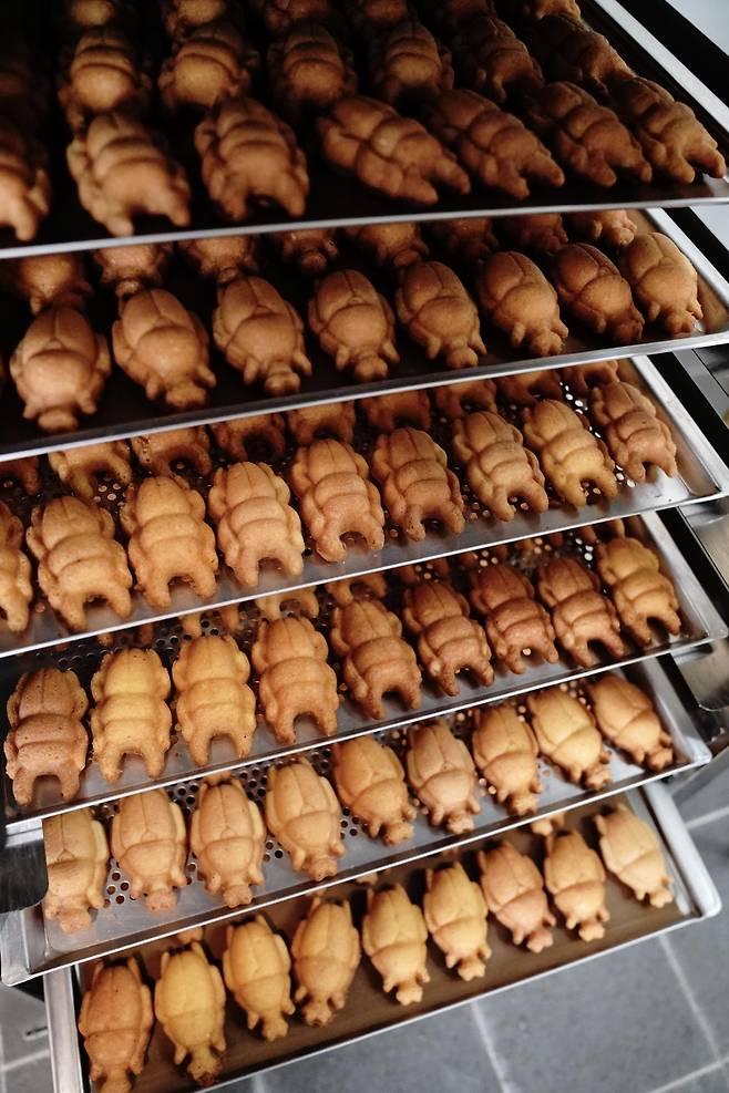 니오타니곤충농장에서 고소애 마들렌을 만드는 모습. 니오타니곤충농장 제공