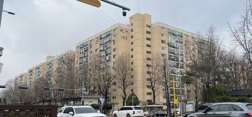 서울 강남구 압구정동 '신현대아파트' 단지 전경./성채리 인턴기자