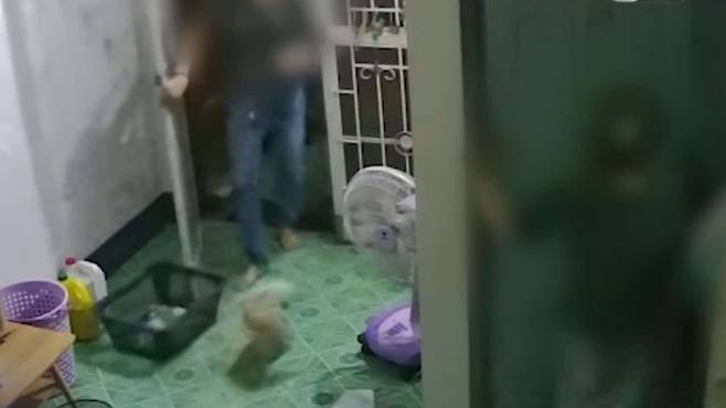 (태국 더 타이거 갈무리)