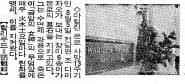 1975년 8월 8일자 8면.