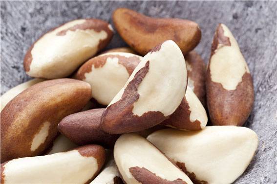 미국 이팅웰(EatingWell)은 50세 이상 여성이 섭취하면 좋은 항염 식품 다섯 가지를 소개했다./사진=클립아트코리아