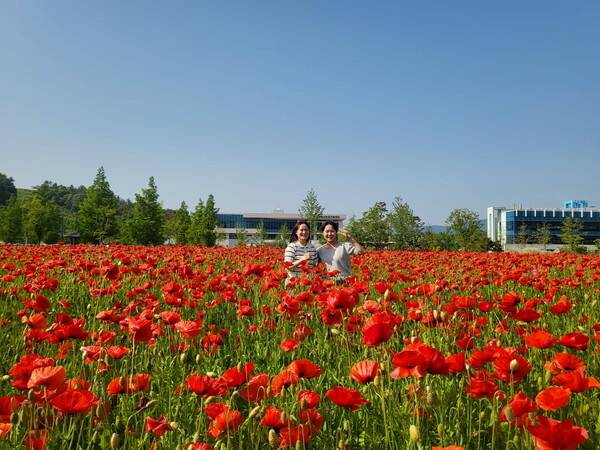 경남 진주 두메실농업테마파크 / 사진 = 진주시