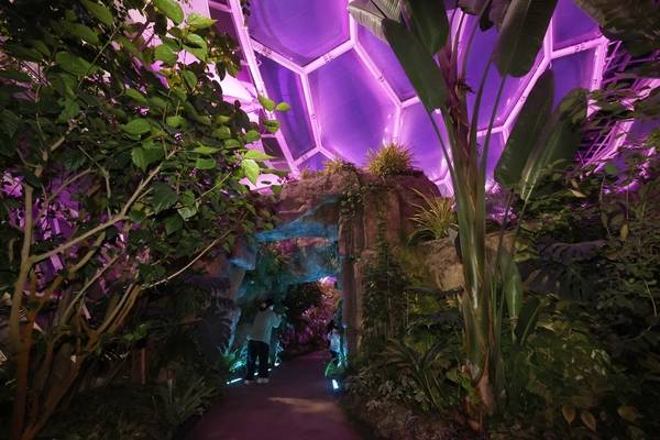 야간 개장한 부천호수식물원 ‘수피아’에서 가족단위 시민들이 산책하며 사진을 찍고 있다. /부천시 제공