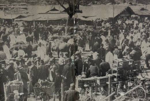 청주 남주동 우시장. (사진= 김영복 연구가)