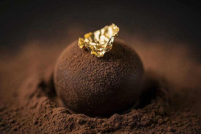 (게티이미지뱅크)