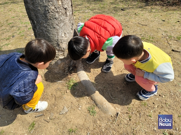 어린이집 놀이터와 주변 공원에서 바깥놀이를 하거나 산책을 즐기는 아이들. ⓒ김영명
