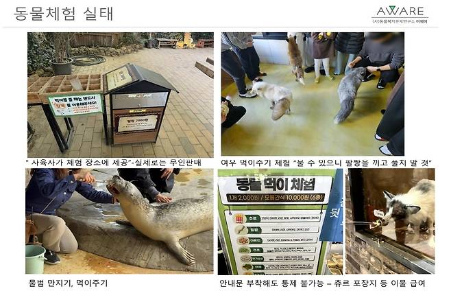 동물복지문제연구소 어웨어가 조사한 동물체험 실태(어웨어 제공) ⓒ 뉴스1