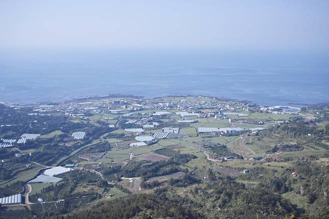 대평마을 전경