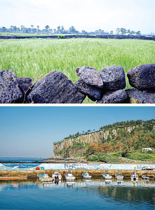 (위) 대평마을의 평화로운 풍경 (아래) 박수기정