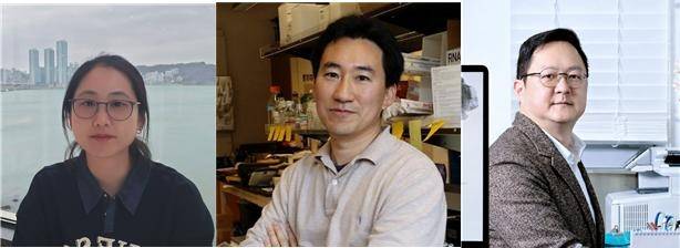 정민주(왼쪽부터) UCSD 생명과학과 박사, 임병국 UCSD 생명과학과 교수, 백세범 KAIST 뇌인지과학과 석좌교수.[KAIST 제공]