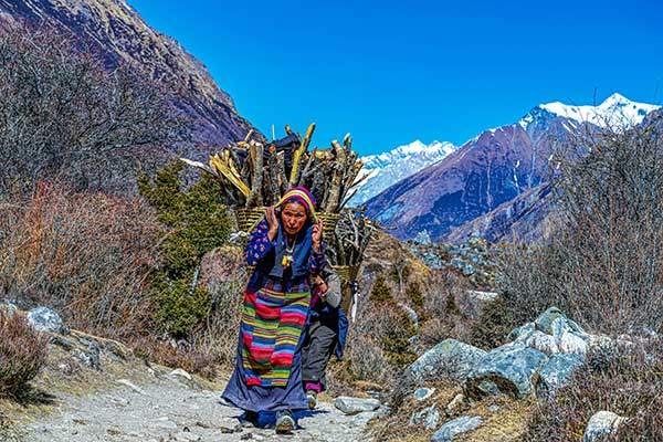 삼도(3,875m) 가는 길에서 만난 장작을 지고 오는 사마가온 여인들