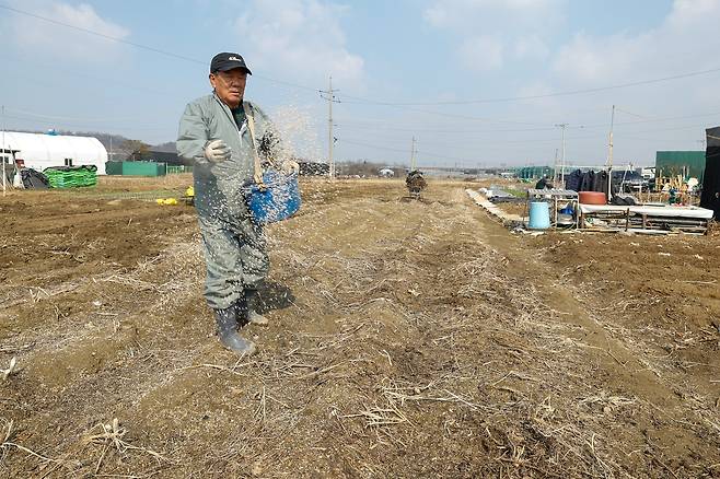 전국 대부분 지역의 낮 최고기온이 10도 안팎으로 오르며 큰 일교차를 보인 9일 경기 고양시 감자밭에서 한 농민이 비료를 뿌리며 감자 심을 준비를 하고 있다.