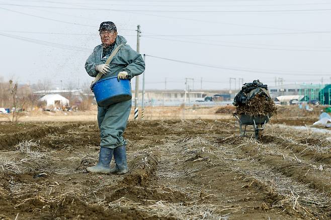 전국 대부분 지역의 낮 최고기온이 10도 안팎으로 오르며 큰 일교차를 보인 9일 경기 고양시 감자밭에서 한 농민이 비료를 뿌리며 감자 심을 준비를 하고 있다.