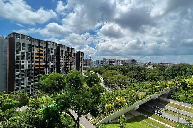 싱가포르는 공공이 토지 확보에서 주택 배분, 금융 조달 등 전 과정에 적극적으로 개입한 다. 사진은 싱가포르 HDB 아파트. [사진 주택개발청]