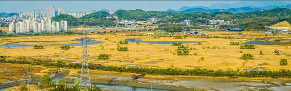 인천 남동구 소래습지생태공원. 경기일보 DB